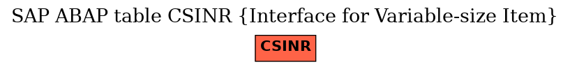 E-R Diagram for table CSINR (Interface for Variable-size Item)