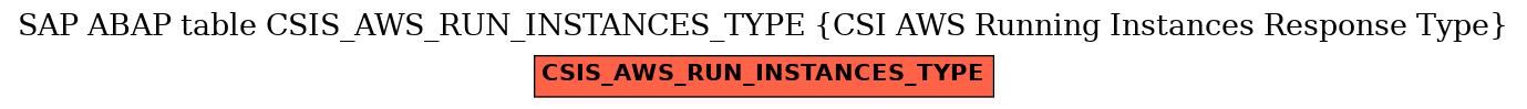 E-R Diagram for table CSIS_AWS_RUN_INSTANCES_TYPE (CSI AWS Running Instances Response Type)