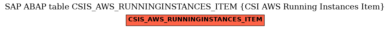 E-R Diagram for table CSIS_AWS_RUNNINGINSTANCES_ITEM (CSI AWS Running Instances Item)