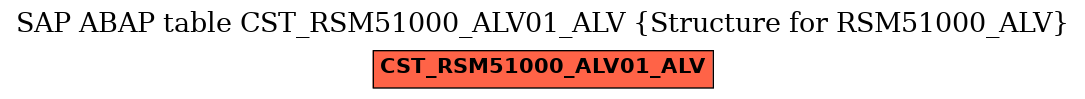 E-R Diagram for table CST_RSM51000_ALV01_ALV (Structure for RSM51000_ALV)