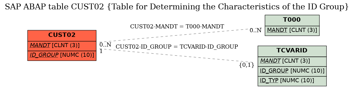 E-R Diagram for table CUST02 (Table for Determining the Characteristics of the ID Group)