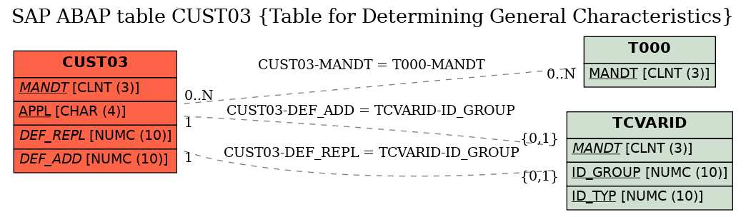 E-R Diagram for table CUST03 (Table for Determining General Characteristics)