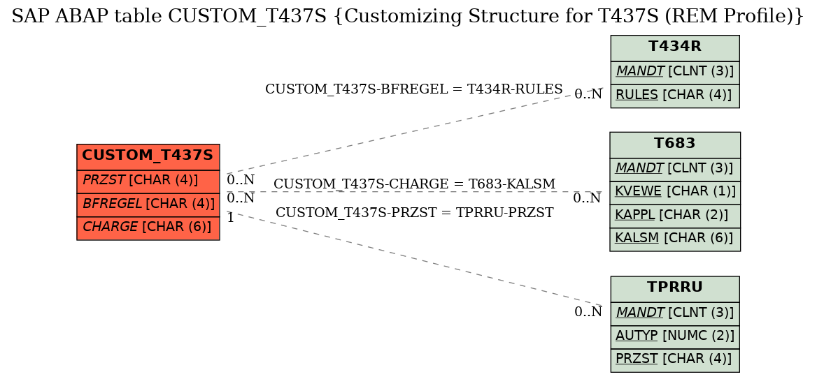 E-R Diagram for table CUSTOM_T437S (Customizing Structure for T437S (REM Profile))