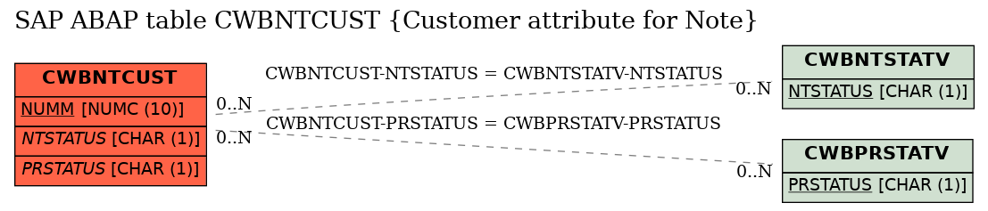 E-R Diagram for table CWBNTCUST (Customer attribute for Note)