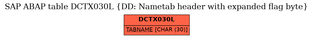 E-R Diagram for table DCTX030L (DD: Nametab header with expanded flag byte)