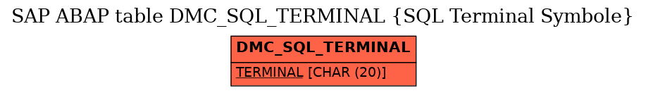 E-R Diagram for table DMC_SQL_TERMINAL (SQL Terminal Symbole)