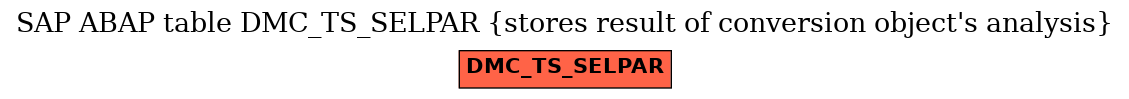 E-R Diagram for table DMC_TS_SELPAR (stores result of conversion object's analysis)