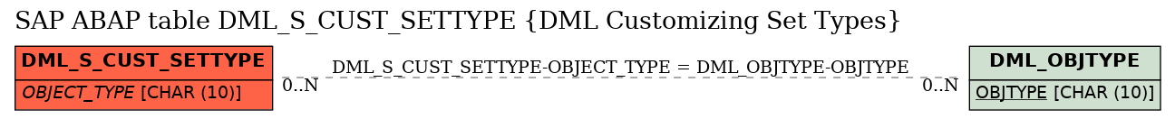 E-R Diagram for table DML_S_CUST_SETTYPE (DML Customizing Set Types)