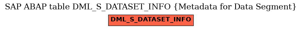 E-R Diagram for table DML_S_DATASET_INFO (Metadata for Data Segment)