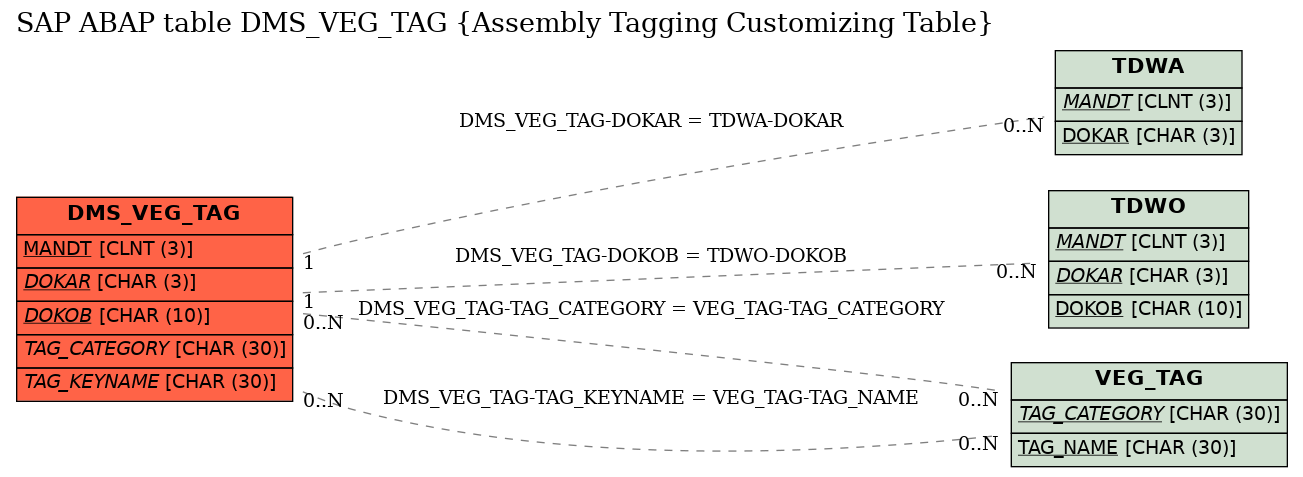 E-R Diagram for table DMS_VEG_TAG (Assembly Tagging Customizing Table)