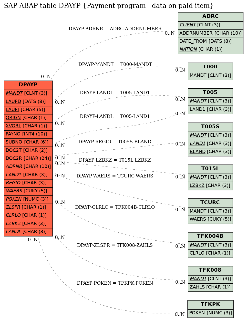 E-R Diagram for table DPAYP (Payment program - data on paid item)