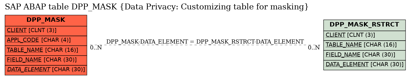 E-R Diagram for table DPP_MASK (Data Privacy: Customizing table for masking)