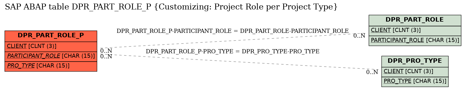 E-R Diagram for table DPR_PART_ROLE_P (Customizing: Project Role per Project Type)