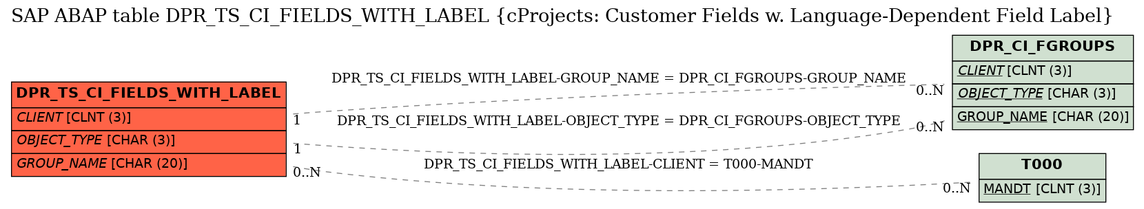 E-R Diagram for table DPR_TS_CI_FIELDS_WITH_LABEL (cProjects: Customer Fields w. Language-Dependent Field Label)