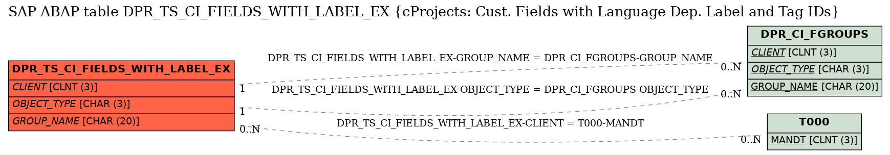 E-R Diagram for table DPR_TS_CI_FIELDS_WITH_LABEL_EX (cProjects: Cust. Fields with Language Dep. Label and Tag IDs)