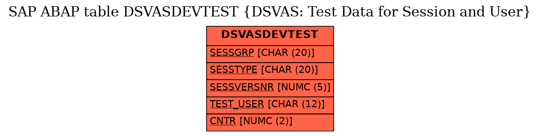 E-R Diagram for table DSVASDEVTEST (DSVAS: Test Data for Session and User)
