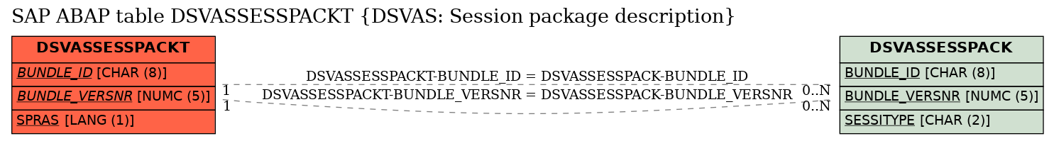 E-R Diagram for table DSVASSESSPACKT (DSVAS: Session package description)