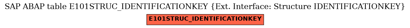 E-R Diagram for table E101STRUC_IDENTIFICATIONKEY (Ext. Interface: Structure IDENTIFICATIONKEY)