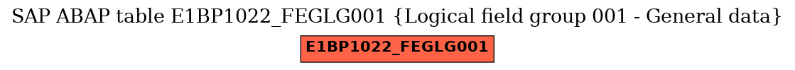 E-R Diagram for table E1BP1022_FEGLG001 (Logical field group 001 - General data)