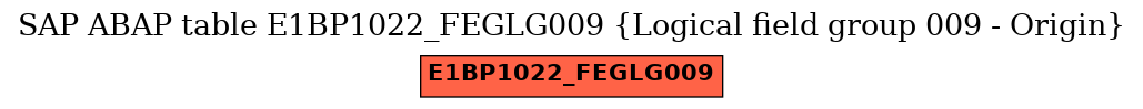 E-R Diagram for table E1BP1022_FEGLG009 (Logical field group 009 - Origin)