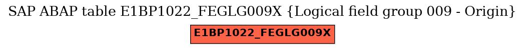 E-R Diagram for table E1BP1022_FEGLG009X (Logical field group 009 - Origin)