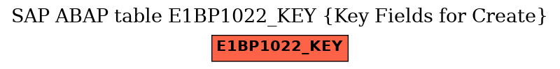 E-R Diagram for table E1BP1022_KEY (Key Fields for Create)