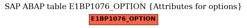 E-R Diagram for table E1BP1076_OPTION (Attributes for options)