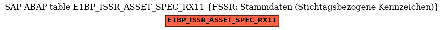 E-R Diagram for table E1BP_ISSR_ASSET_SPEC_RX11 (FSSR: Stammdaten (Stichtagsbezogene Kennzeichen))