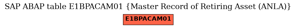 E-R Diagram for table E1BPACAM01 (Master Record of Retiring Asset (ANLA))