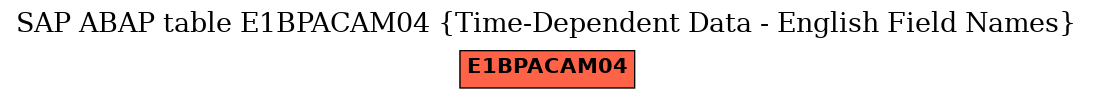 E-R Diagram for table E1BPACAM04 (Time-Dependent Data - English Field Names)