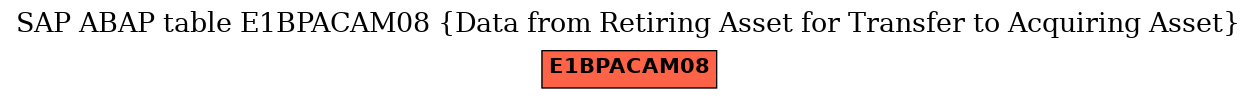 E-R Diagram for table E1BPACAM08 (Data from Retiring Asset for Transfer to Acquiring Asset)