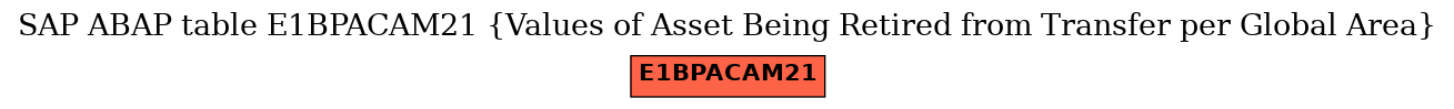 E-R Diagram for table E1BPACAM21 (Values of Asset Being Retired from Transfer per Global Area)