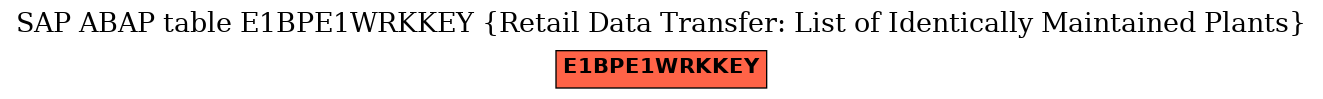 E-R Diagram for table E1BPE1WRKKEY (Retail Data Transfer: List of Identically Maintained Plants)