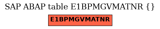 E-R Diagram for table E1BPMGVMATNR ( )