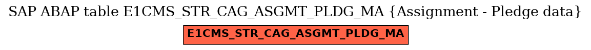 E-R Diagram for table E1CMS_STR_CAG_ASGMT_PLDG_MA (Assignment - Pledge data)