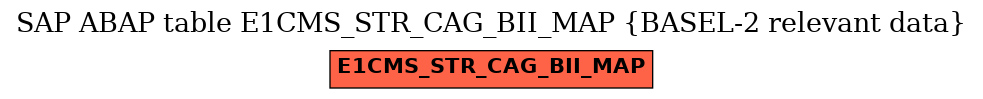 E-R Diagram for table E1CMS_STR_CAG_BII_MAP (BASEL-2 relevant data)