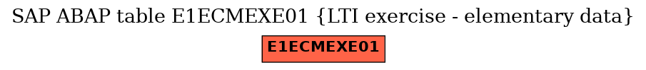 E-R Diagram for table E1ECMEXE01 (LTI exercise - elementary data)
