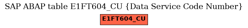 E-R Diagram for table E1FT604_CU (Data Service Code Number)