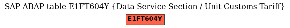 E-R Diagram for table E1FT604Y (Data Service Section / Unit Customs Tariff)