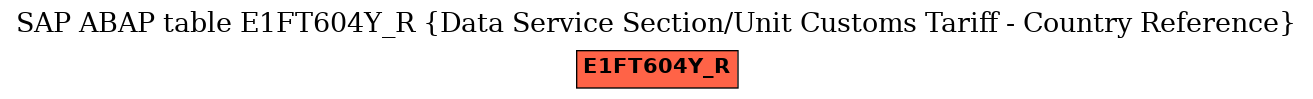 E-R Diagram for table E1FT604Y_R (Data Service Section/Unit Customs Tariff - Country Reference)