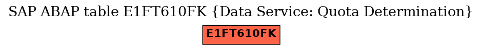 E-R Diagram for table E1FT610FK (Data Service: Quota Determination)