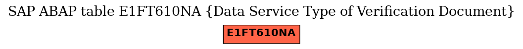 E-R Diagram for table E1FT610NA (Data Service Type of Verification Document)