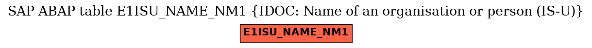 E-R Diagram for table E1ISU_NAME_NM1 (IDOC: Name of an organisation or person (IS-U))