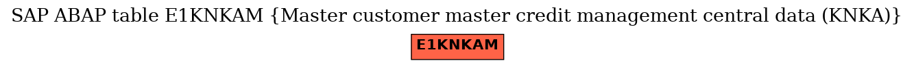 E-R Diagram for table E1KNKAM (Master customer master credit management central data (KNKA))