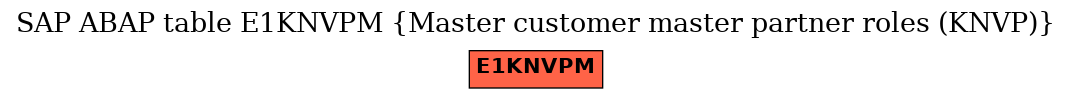 E-R Diagram for table E1KNVPM (Master customer master partner roles (KNVP))