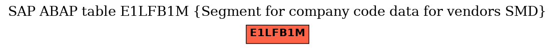 E-R Diagram for table E1LFB1M (Segment for company code data for vendors SMD)