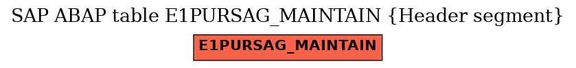 E-R Diagram for table E1PURSAG_MAINTAIN (Header segment)