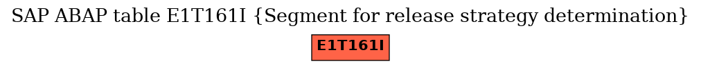 E-R Diagram for table E1T161I (Segment for release strategy determination)
