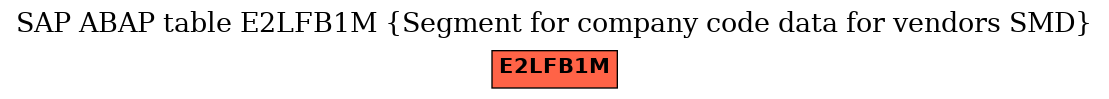 E-R Diagram for table E2LFB1M (Segment for company code data for vendors SMD)