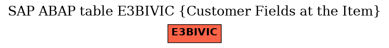 E-R Diagram for table E3BIVIC (Customer Fields at the Item)